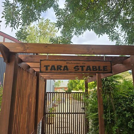 Tara Stables Villa Littlehampton Екстериор снимка